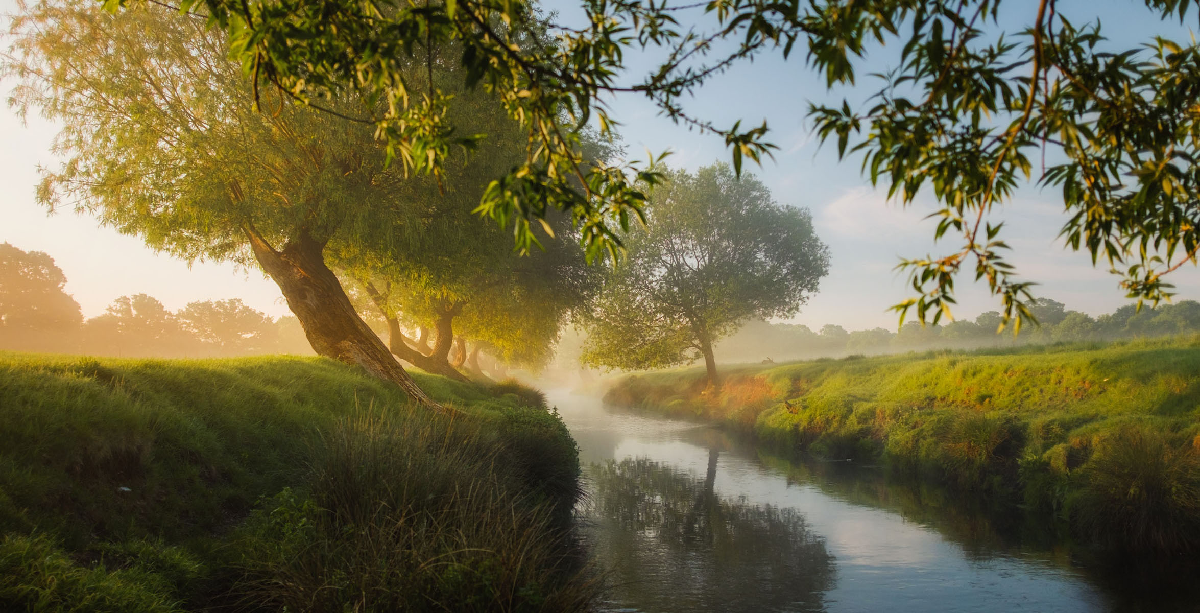 durabilité respect de l'environnement